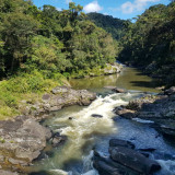 Afbeelding voor Ranomafana Nationaal Park in Madagaskar