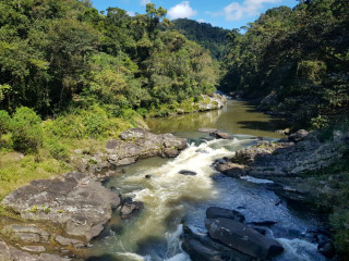 Afbeelding voor Ranomafana Nationaal Park in Madagaskar