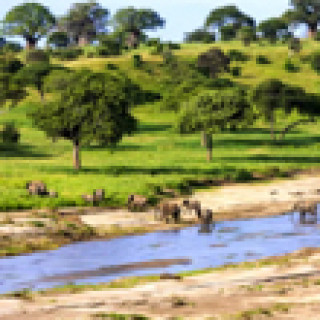Afbeelding voor 333TRAVEL - Natuurparken reis Tanzania