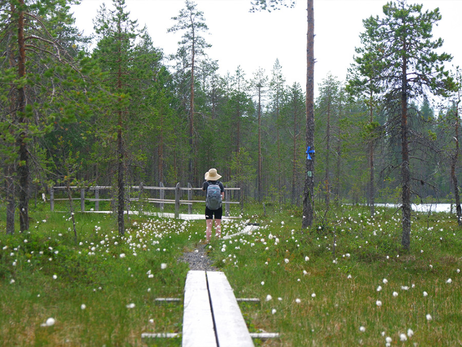 Kylmäluoma Hiking Area