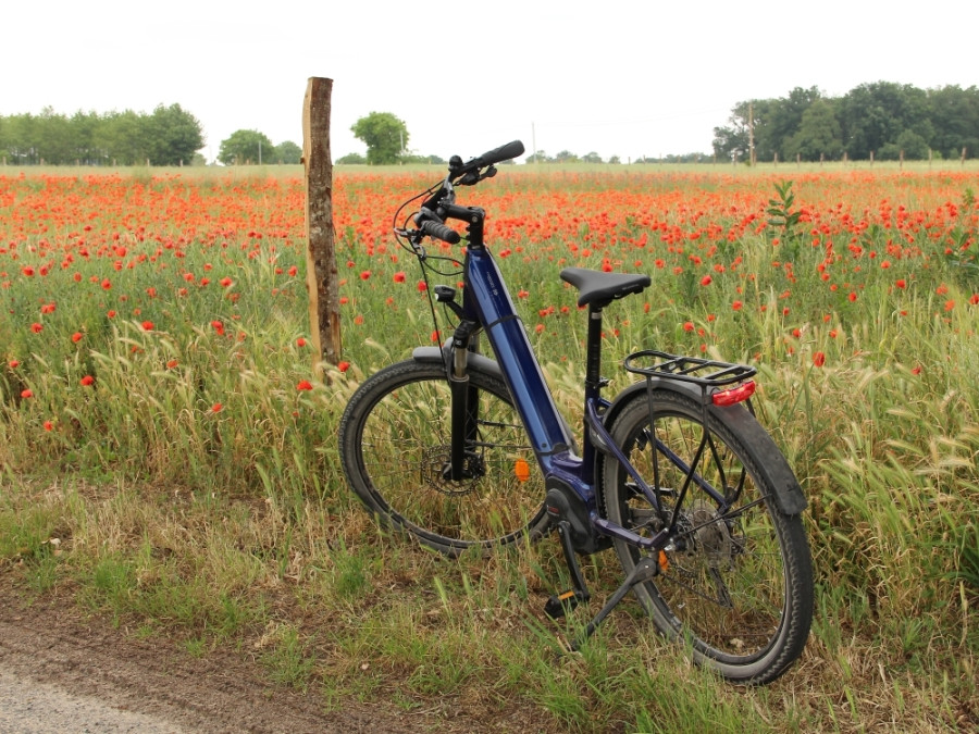 Fietsen langs velden vol klaprozen