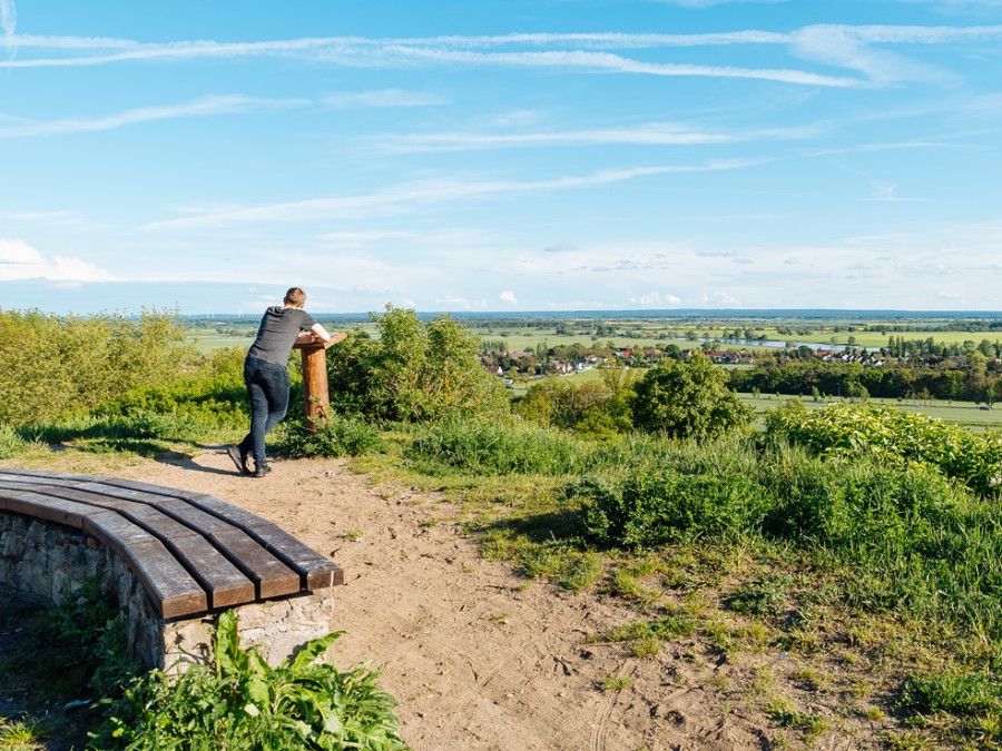 Fläming natuurpark