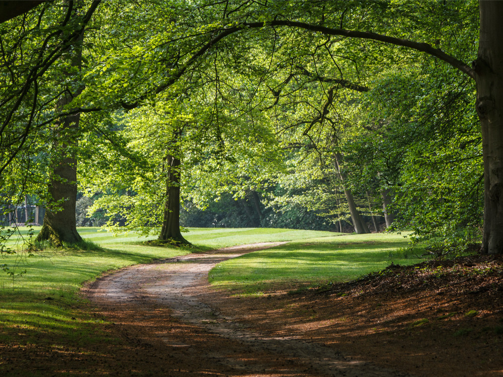 Natuur bij Apeldoorn