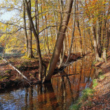 Afbeelding voor Natuur bij Ermelo