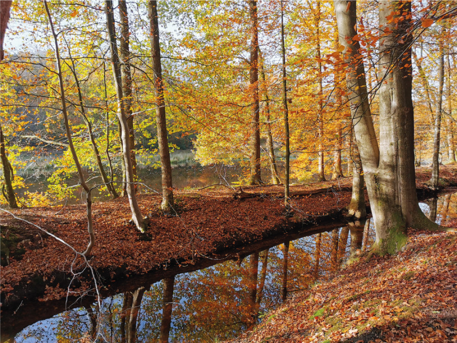 Natuur in Gelderland