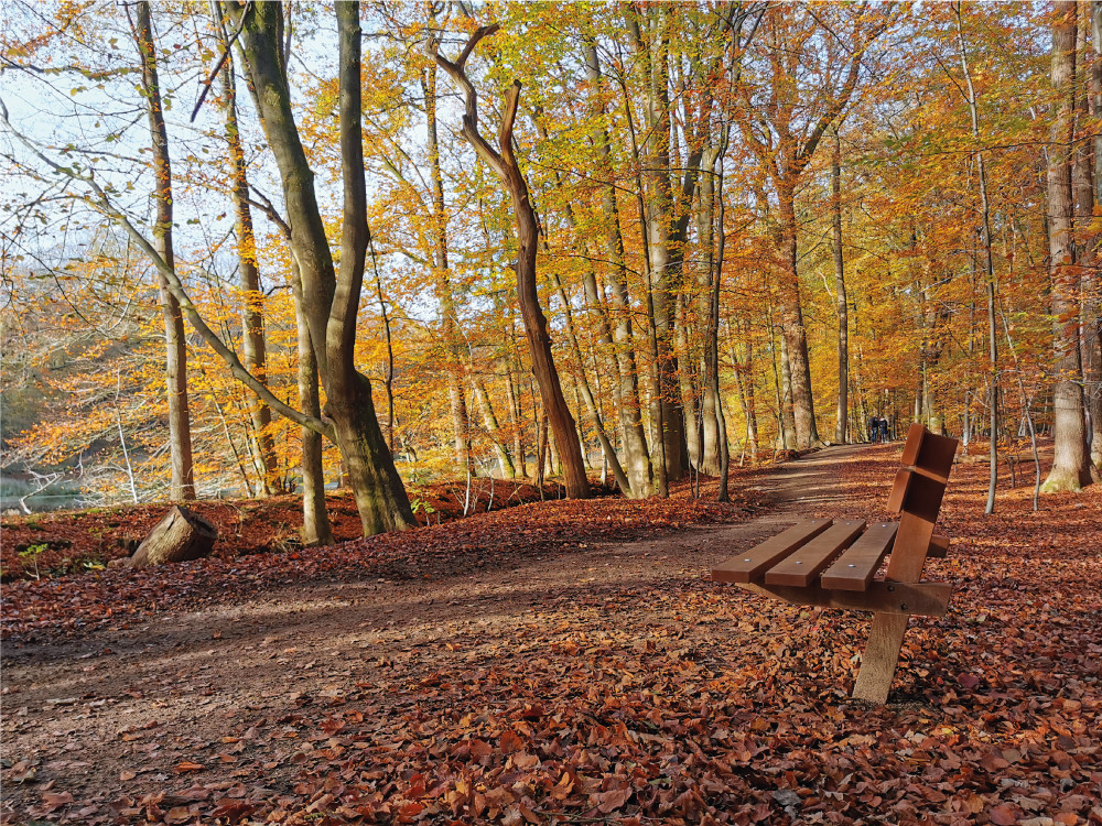 Wandelroute Leuvenumse Bossen