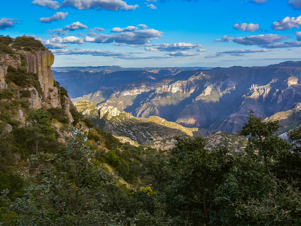 Natuur in Chihuahua