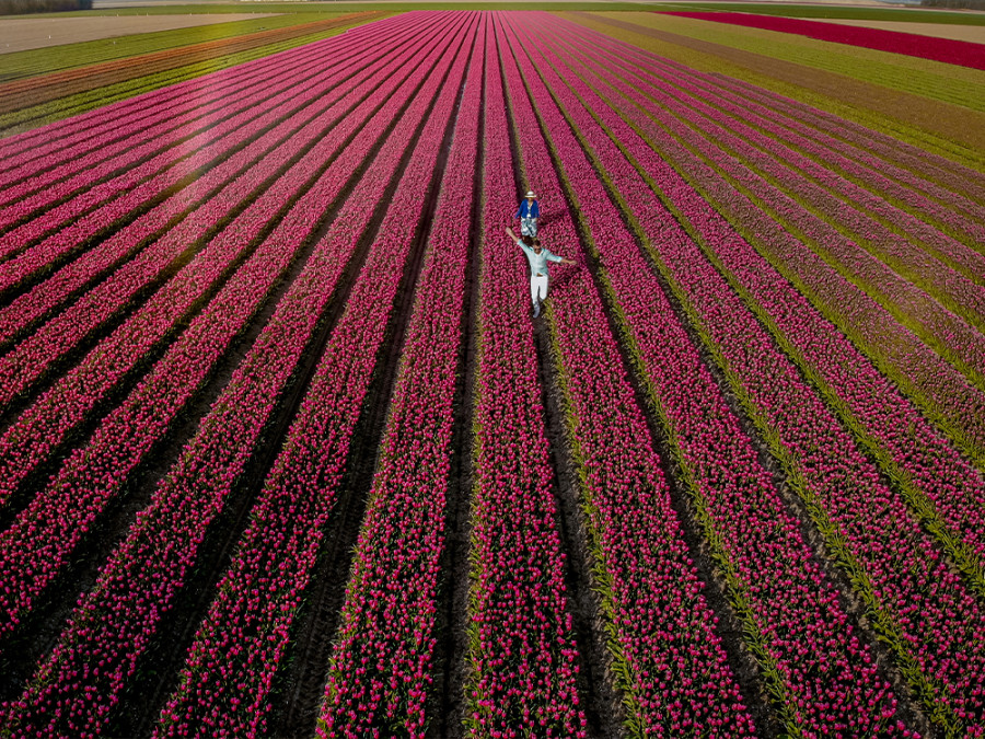 Noordoostpolder flevoland