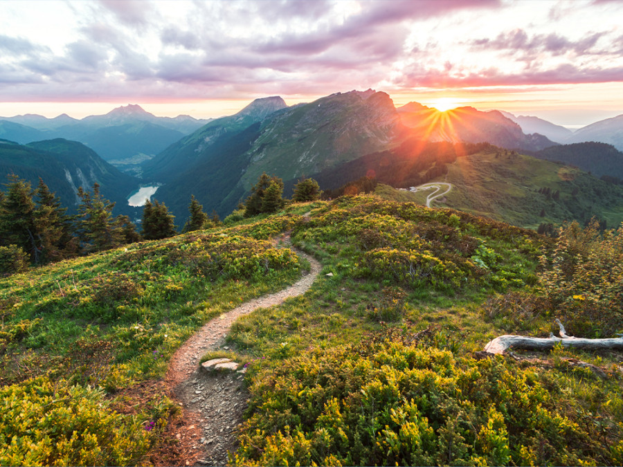 Avoriaz natuur