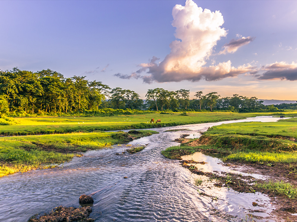 Chitwan Nationaal Park