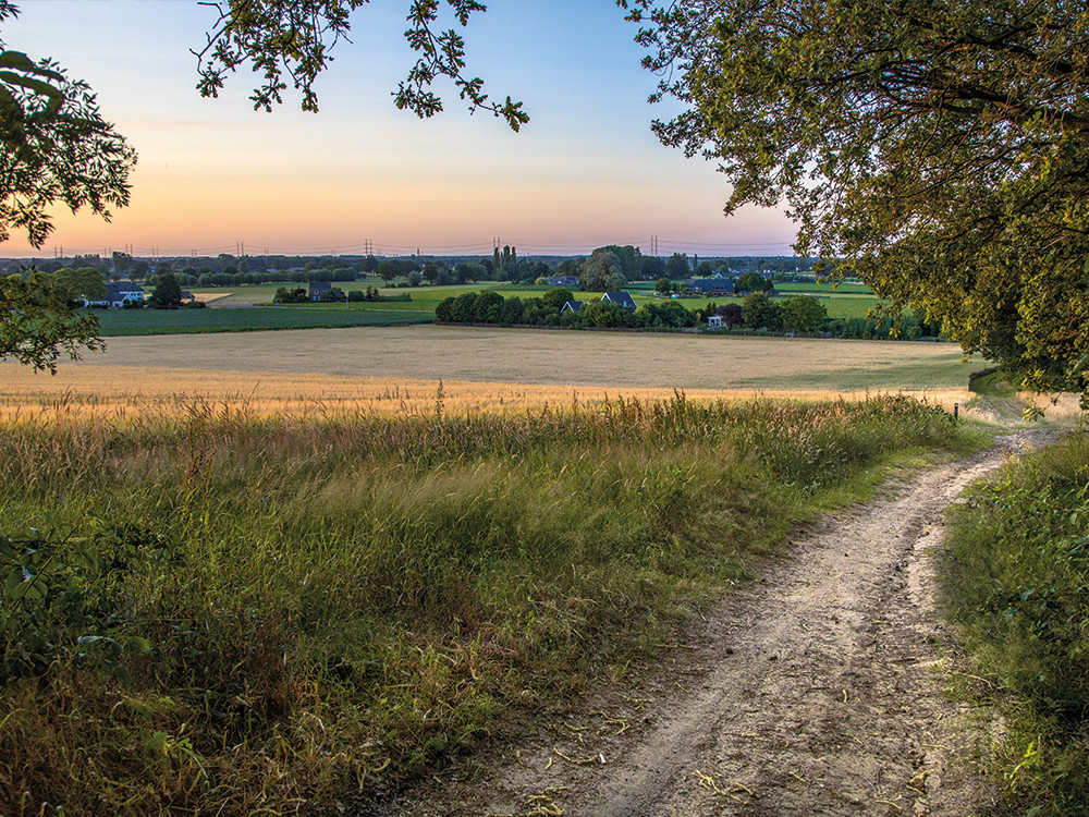 Heuvels van Montferland