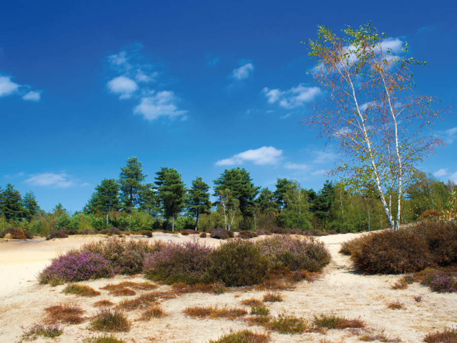 nationale parken Limburg Nederland