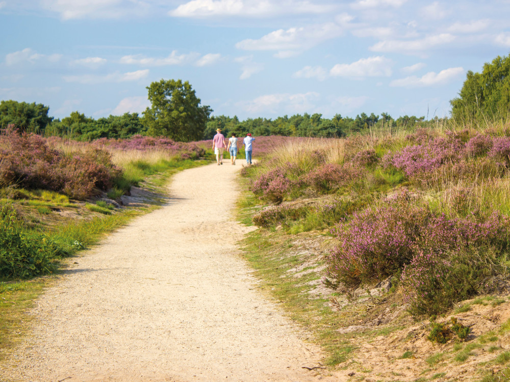 Nationaal Park Maasduinen