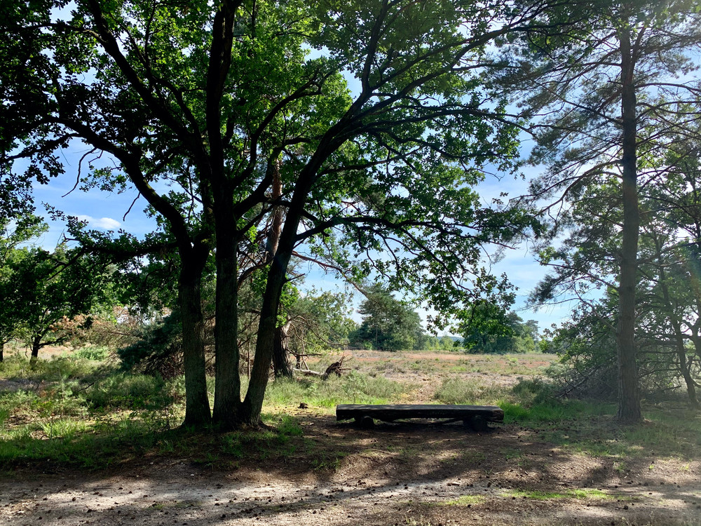 Natuur bij Maastricht