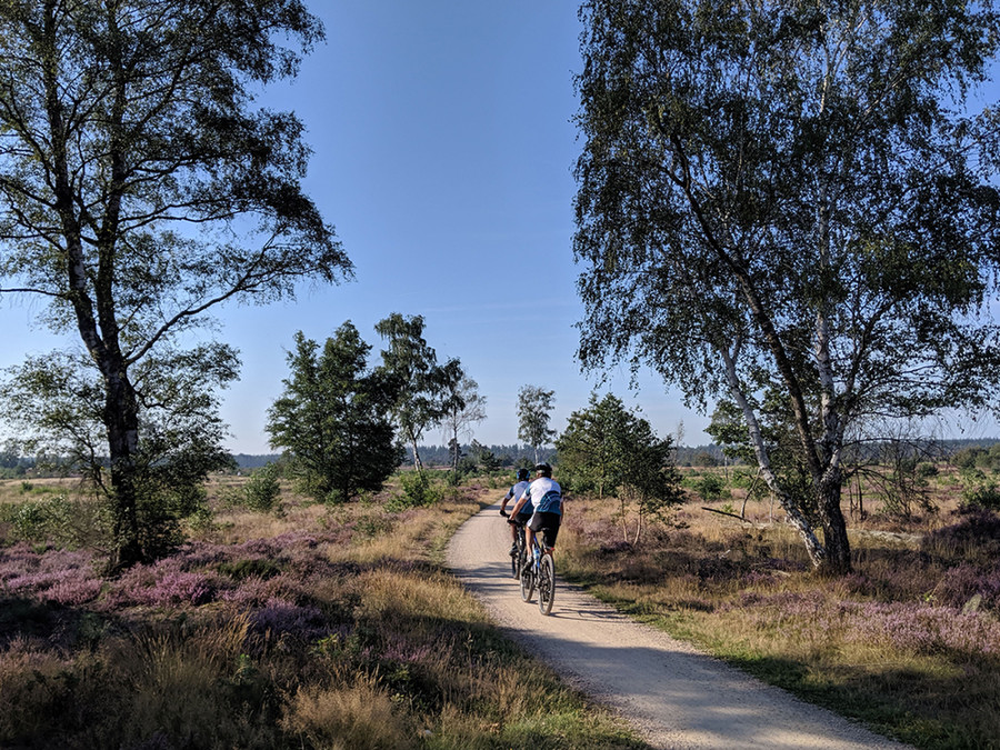 Fietsroutes Overijssel