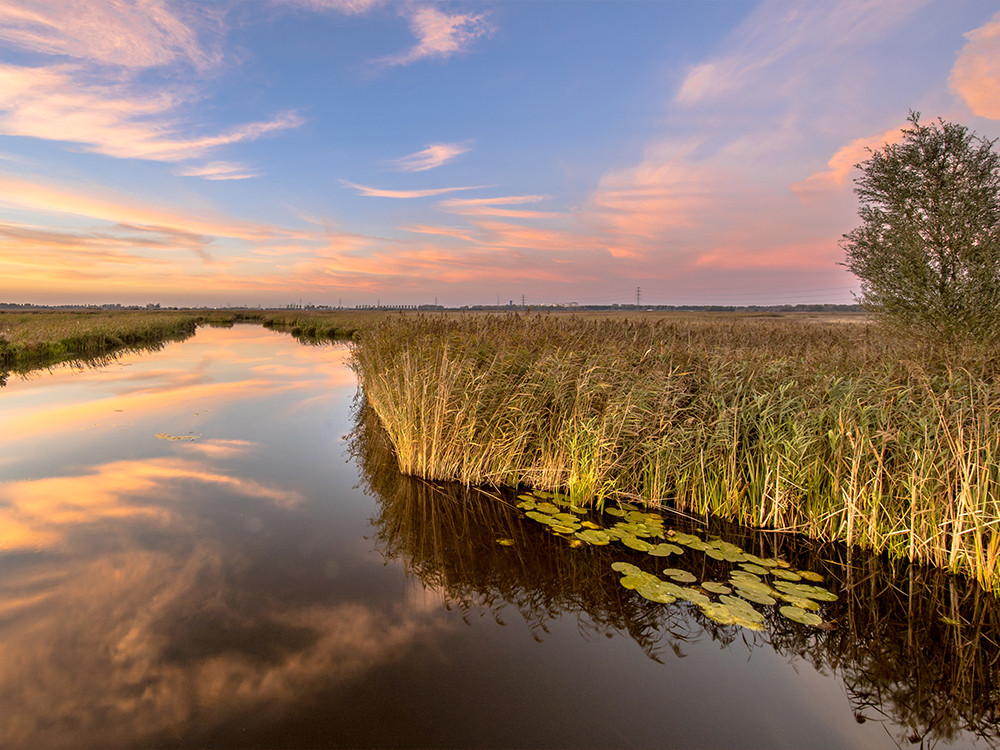 Natuur Groningen | 6 Mooie in de provincie