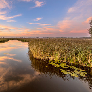 Afbeelding voor Natuur in Groningen