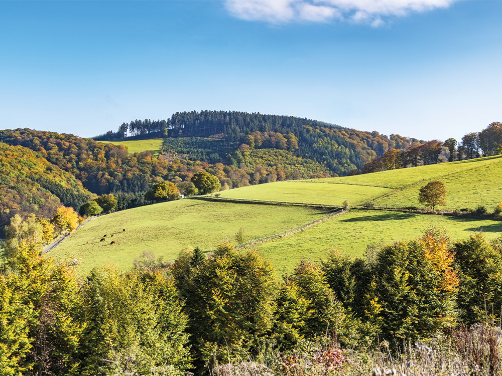 Bergen in Sauerland