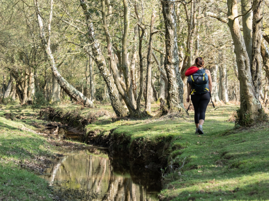 Wandeltochten en wildkamperen