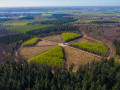 Amerongse Bos
