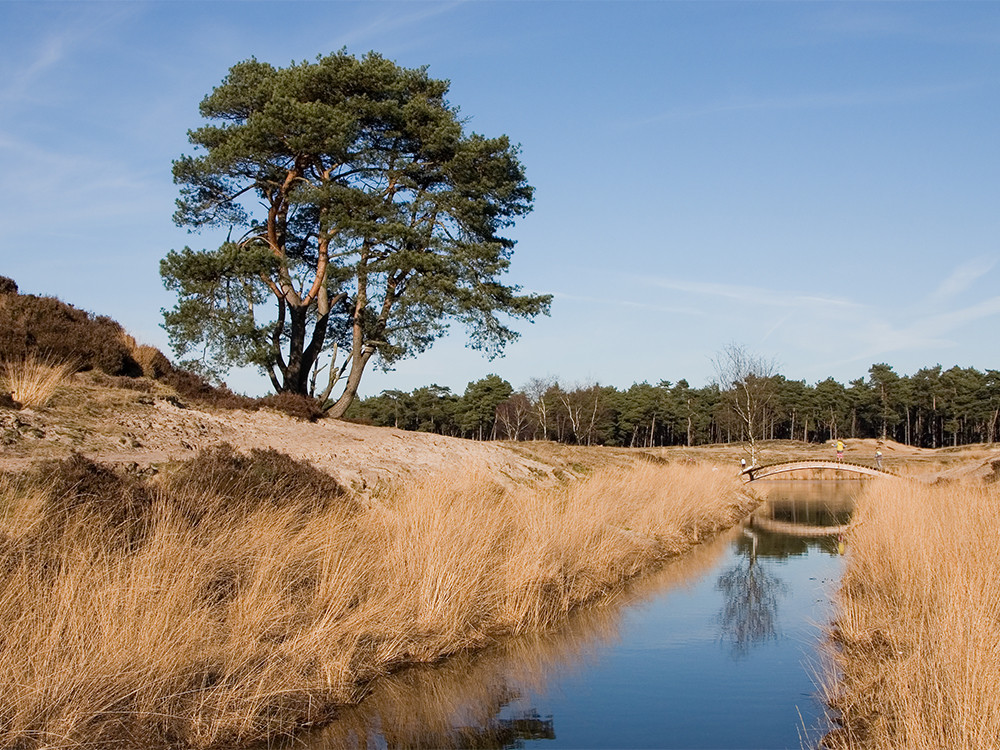 Landgoed Heidestein