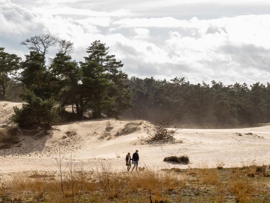 Wandelroutes utrecht