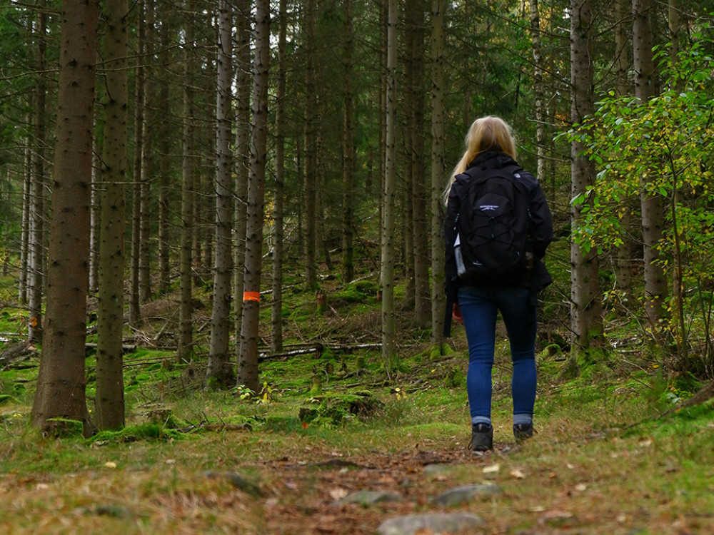 Natuur in West-Zweden