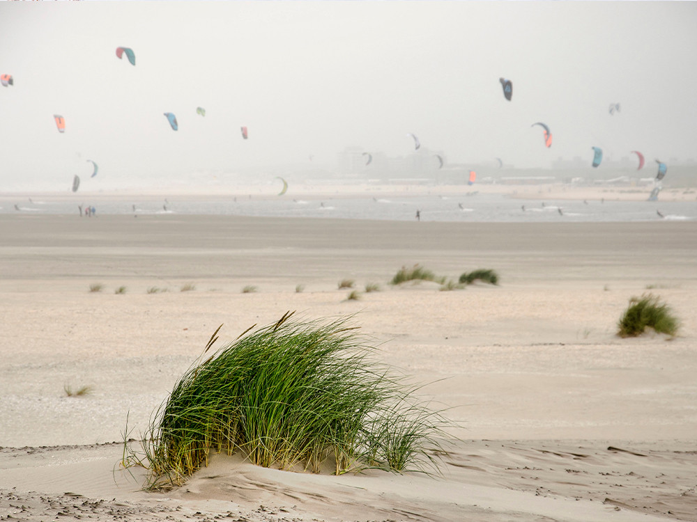 Stranden in Zuid-Holland