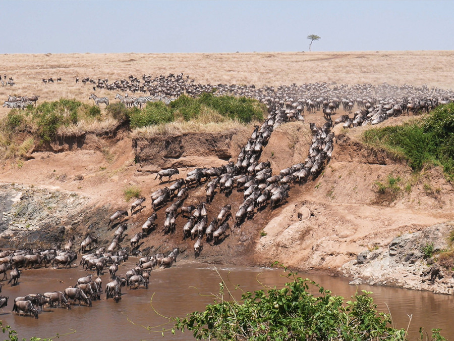 Natuurgebieden Kenia