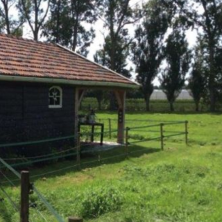 Afbeelding voor Natuurhuisje - Slapen in Koetshuisje