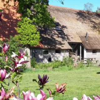 Afbeelding voor Natuurhuisje - Weg van de massa