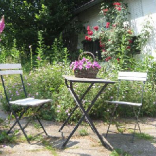 Afbeelding voor Natuurhuisje - Romantisch huisje