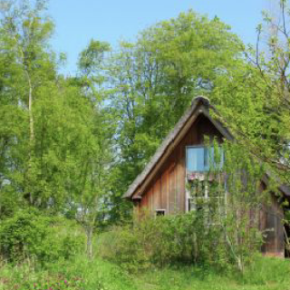 Afbeelding voor Natuurhuisje - Vakantiehuisjes Schoorl