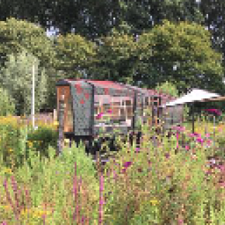 Afbeelding voor Natuurhuisje - Vakantiehuisjes