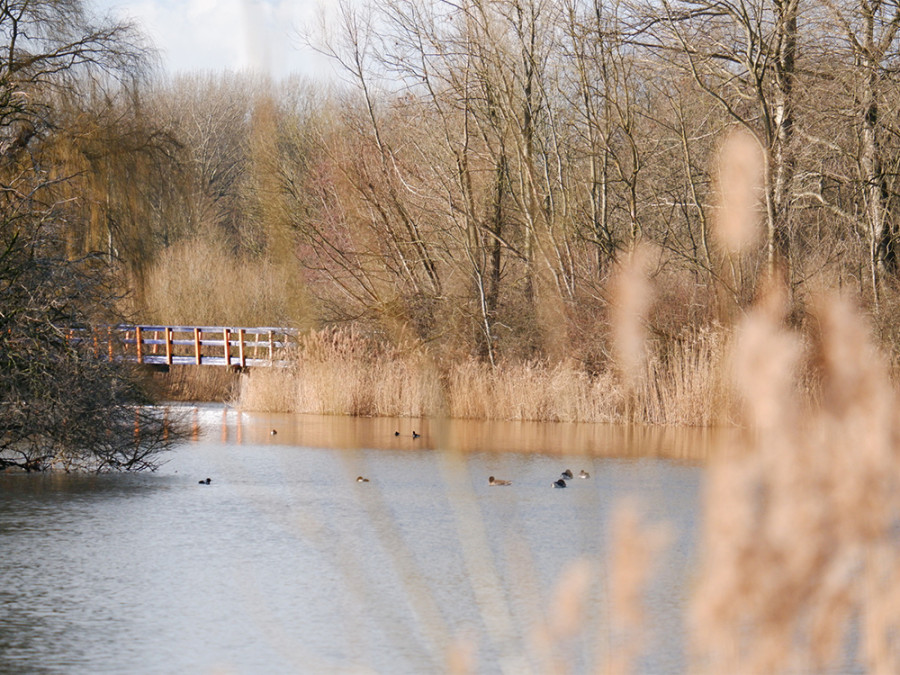 Natuurpark lelystad