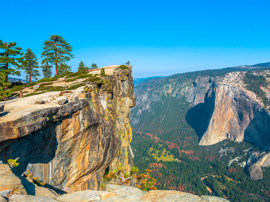 Natuurreis Yosemite