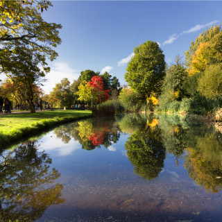 Afbeelding voor Natuur in Amsterdam