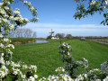 Hollands tafereel: lentebloesem en molens