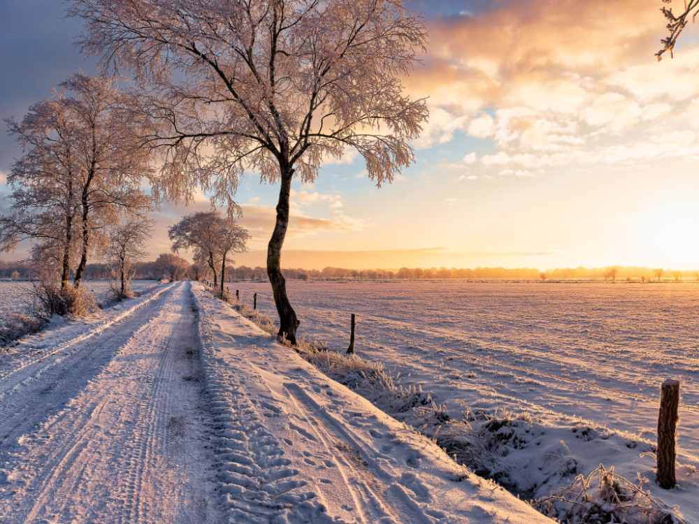 Winter Nedersaksen