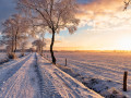 Winter Nedersaksen