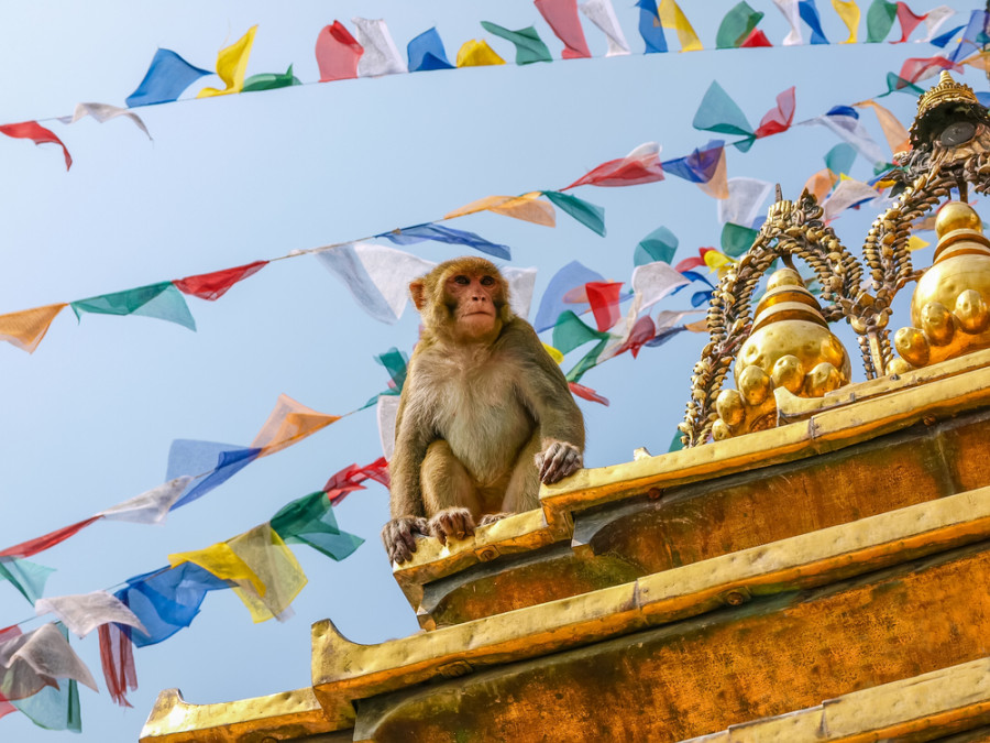 Mooiste plekken Nepal