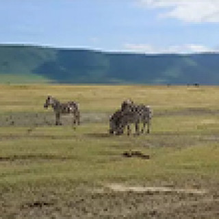 Afbeelding voor Van Verre - Bouwsteen Ngorongoro + Manyara