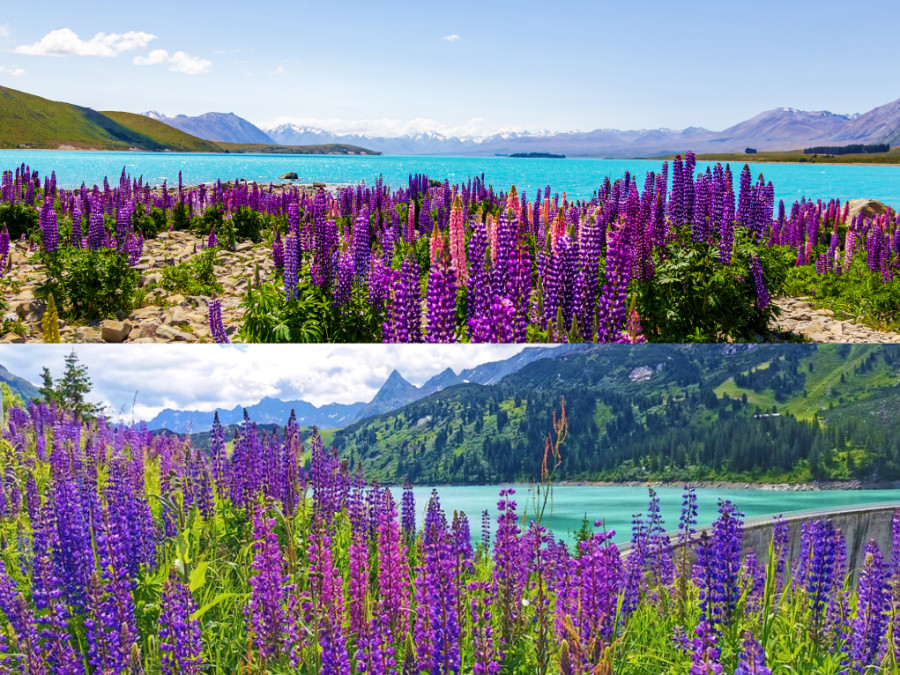 Lake Tekapo vs Kops Stausee