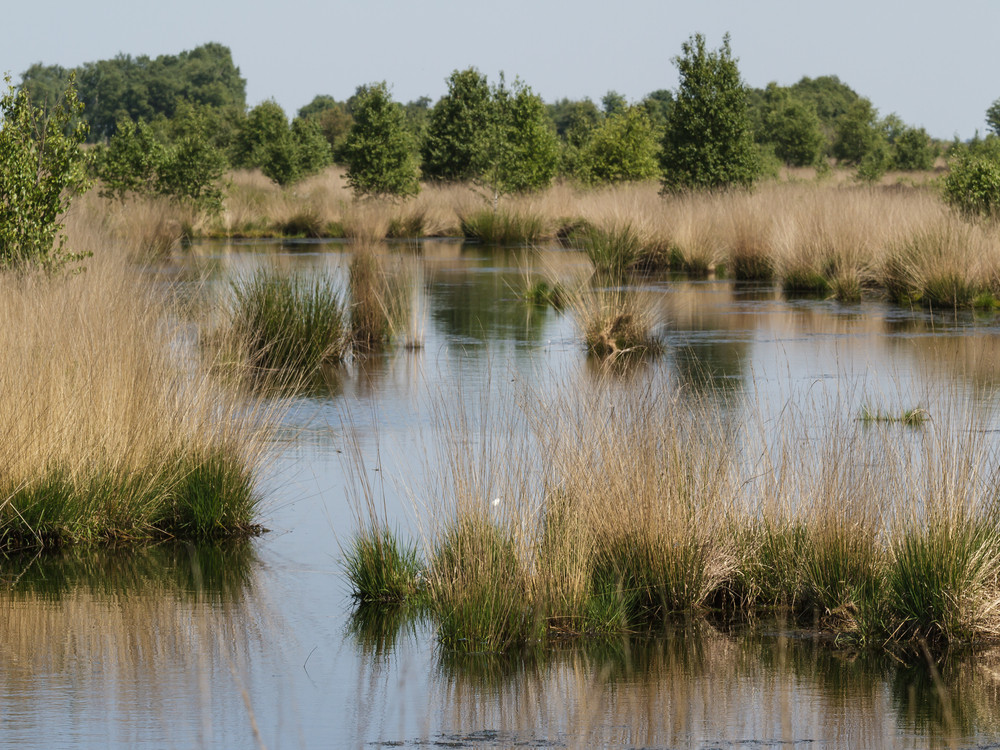 Natuur Zuid-Oost Drenthe