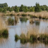 Afbeelding voor Zuid-Oost Drenthe