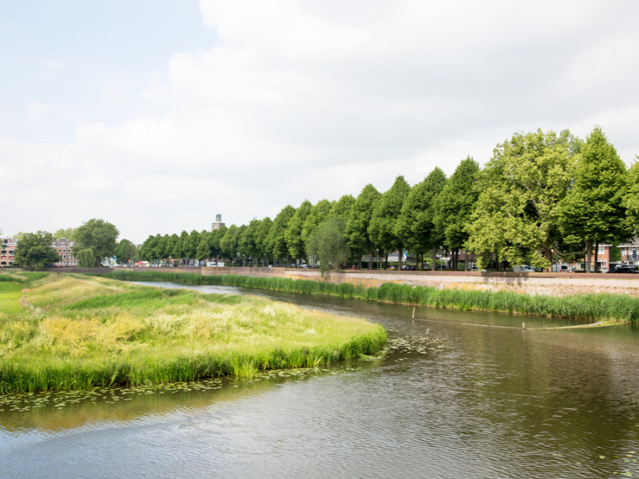 natuur bij den Bosch