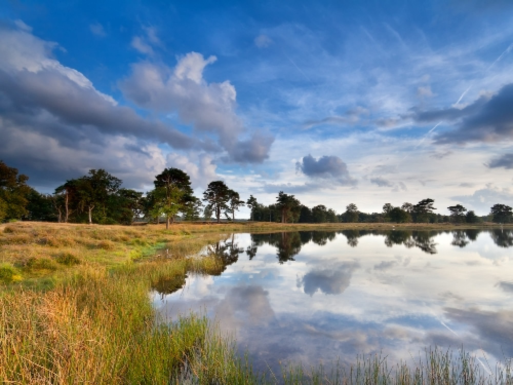 Mooie natuur