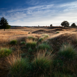 Afbeelding voor Drents-Friese Wold Nationaal Park