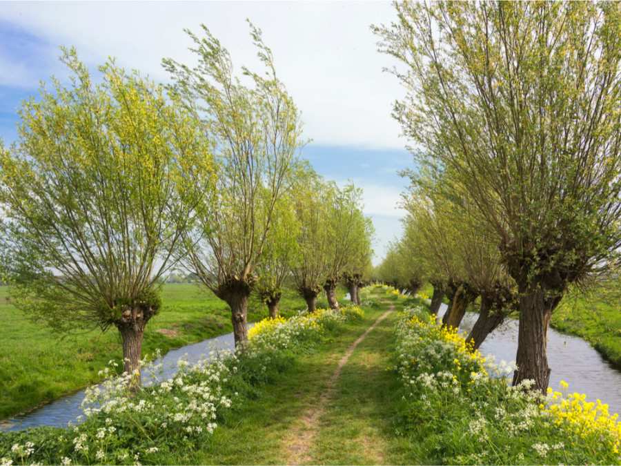 Groene Hart Nederland