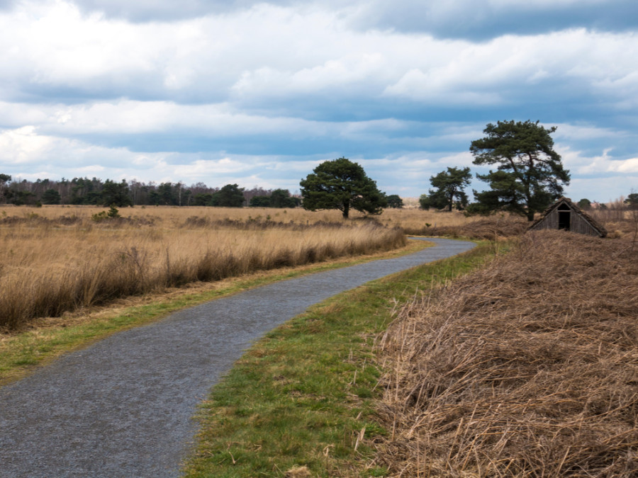 Groote Peel nationaal park